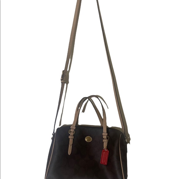 Coach! - Picture 4 of 5